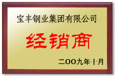 龙胜宝丰经销商
